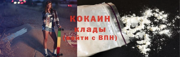 сатива Аркадак