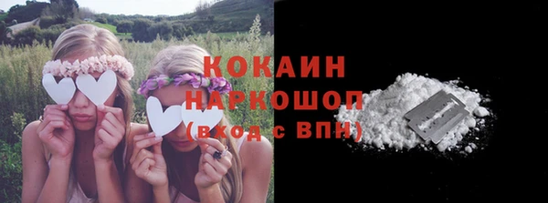 сатива Аркадак