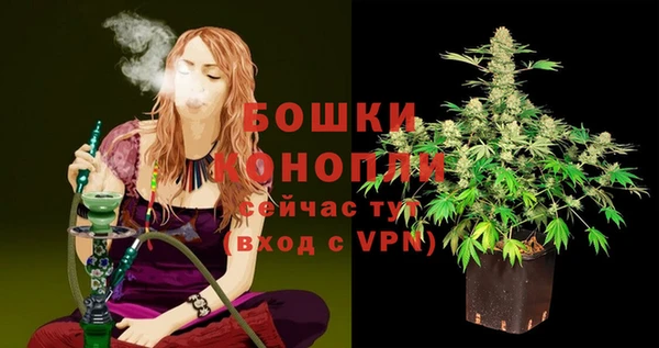 сатива Аркадак
