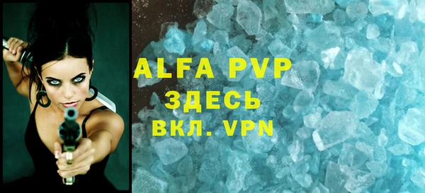 сатива Аркадак