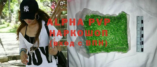 сатива Аркадак