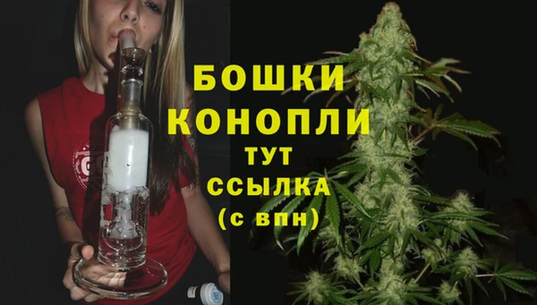 сатива Аркадак