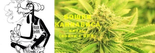 сатива Аркадак