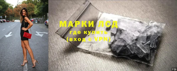 сатива Аркадак
